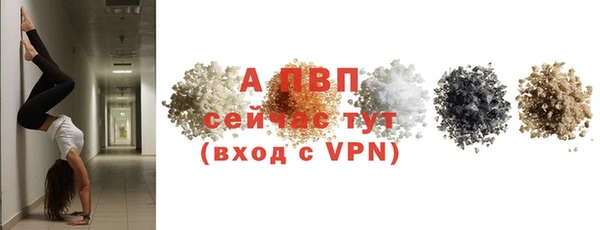 стаф Беломорск
