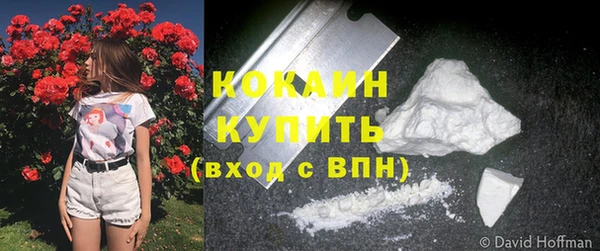 кокс Белокуриха