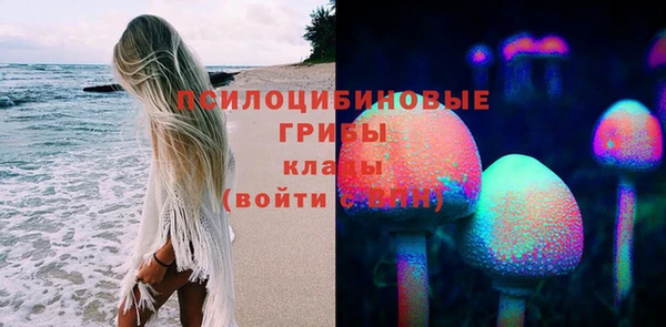 кокс Белокуриха